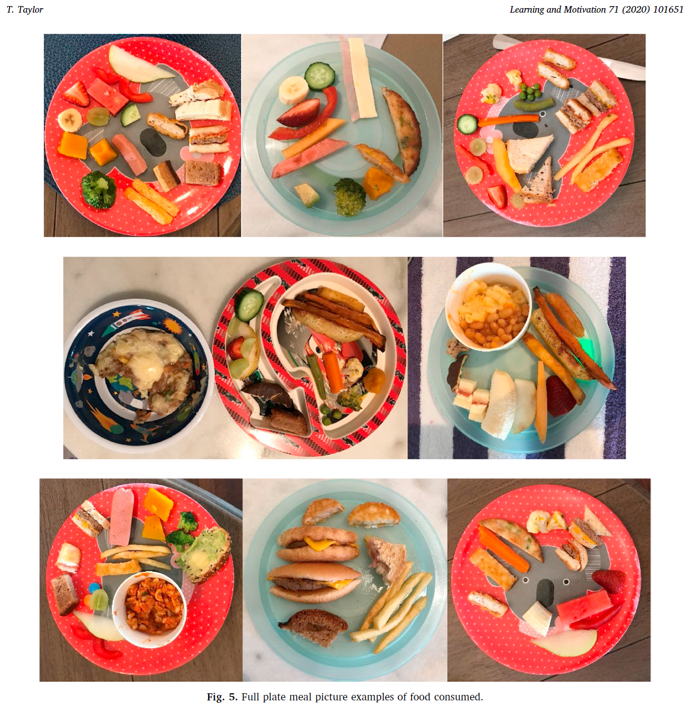 3 Chewing Plate Pictures