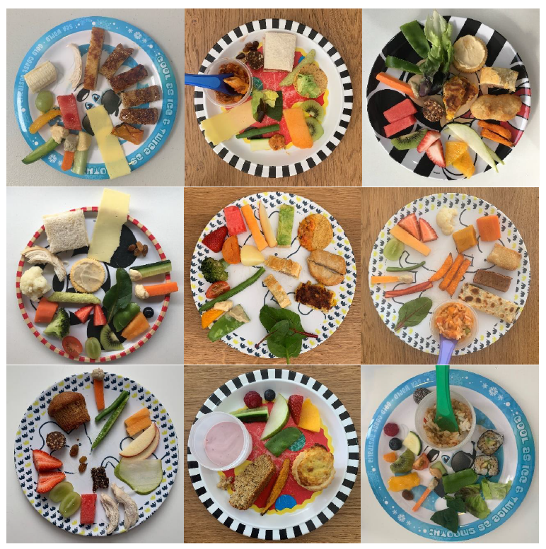 prejean plate pics