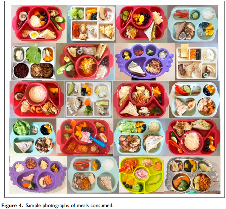 Eloi plate collage